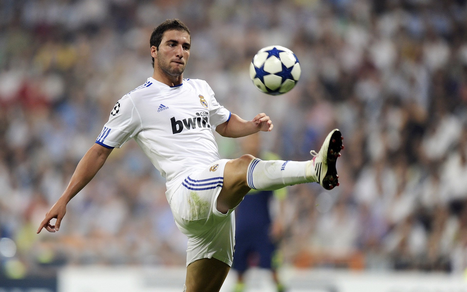 哈兰德新星势不可挡表现惊艳，C9未来可期！